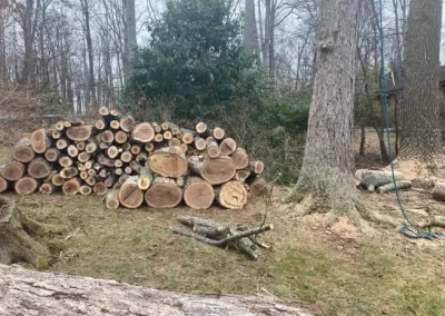 Quality Landscape Company